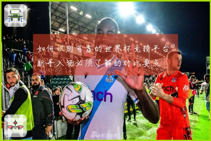 如何识别可靠的世界杯竞猜平台?新手入场必须了解的对比要点