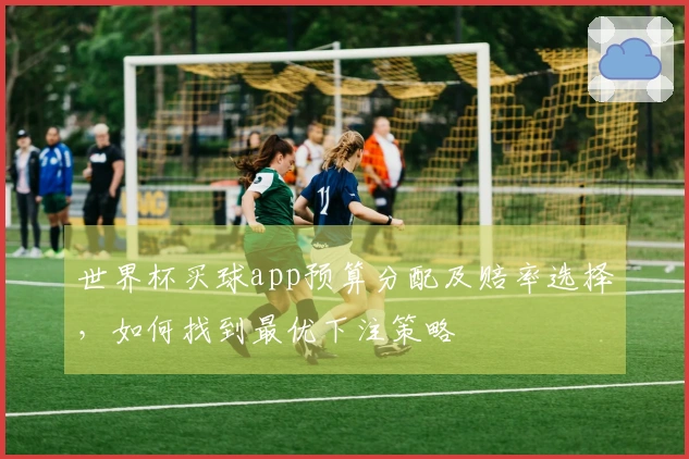 世界杯买球app预算分配及赔率选择,如何找到最优下注策略